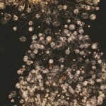 Feuerwerk an Silvester schön anzusehen aber zu welchem Preis?